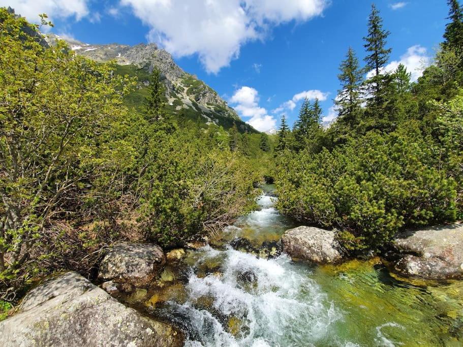Apartman Ve Vysokych Tatrach Strbske Pleso Exterior foto