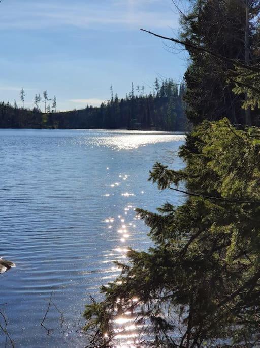 Apartman Ve Vysokych Tatrach Strbske Pleso Exterior foto